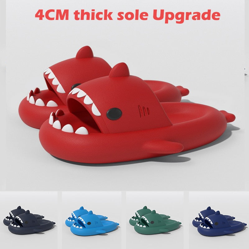 Shark Slides