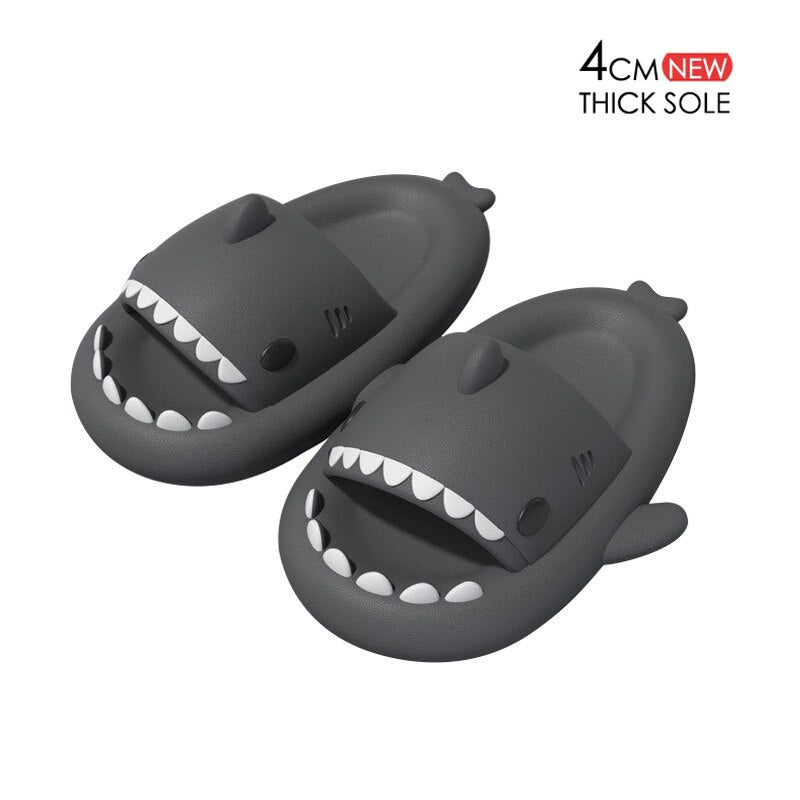 Shark Slides